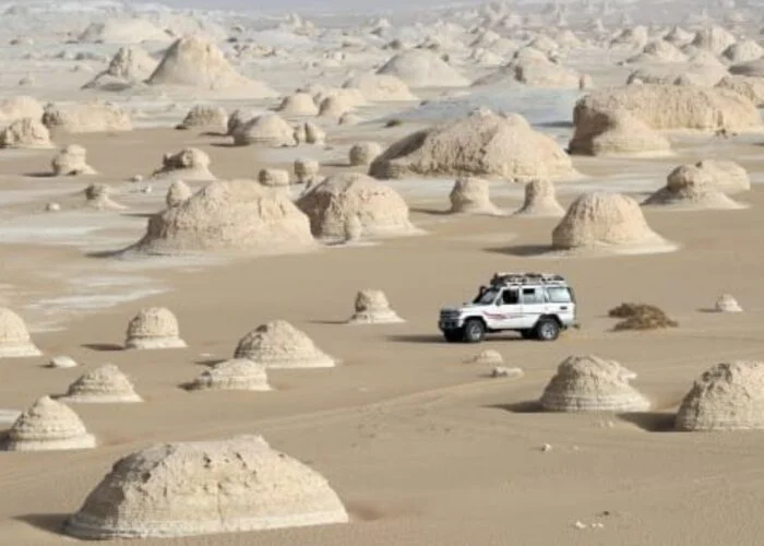 The White Desert Safari Wonder